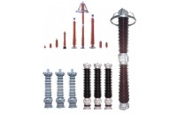Surge Arrestor